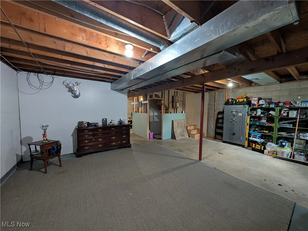 View of unfinished basement