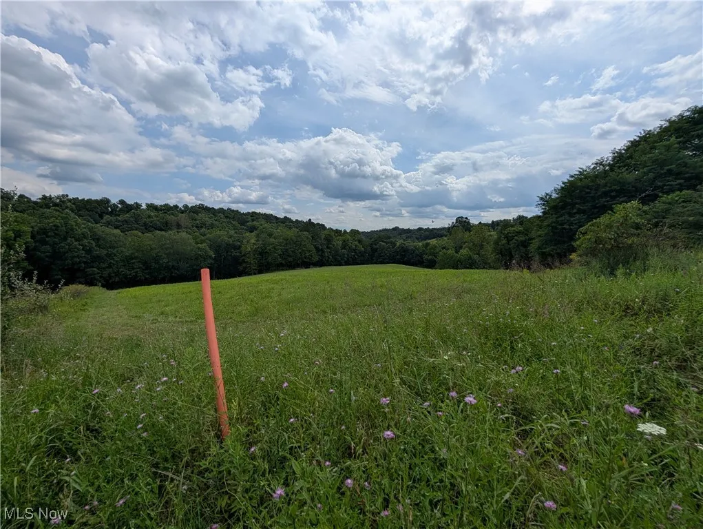 View of yard featuring a wooded view and a rural view