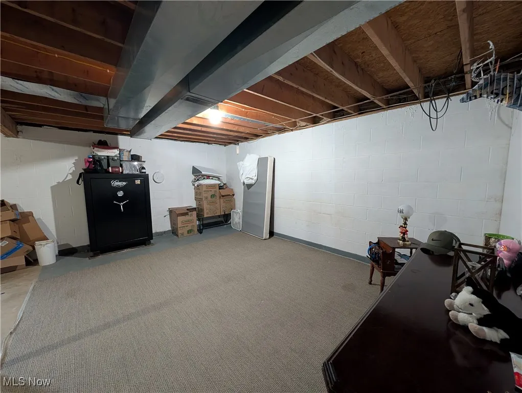 View of unfinished basement
