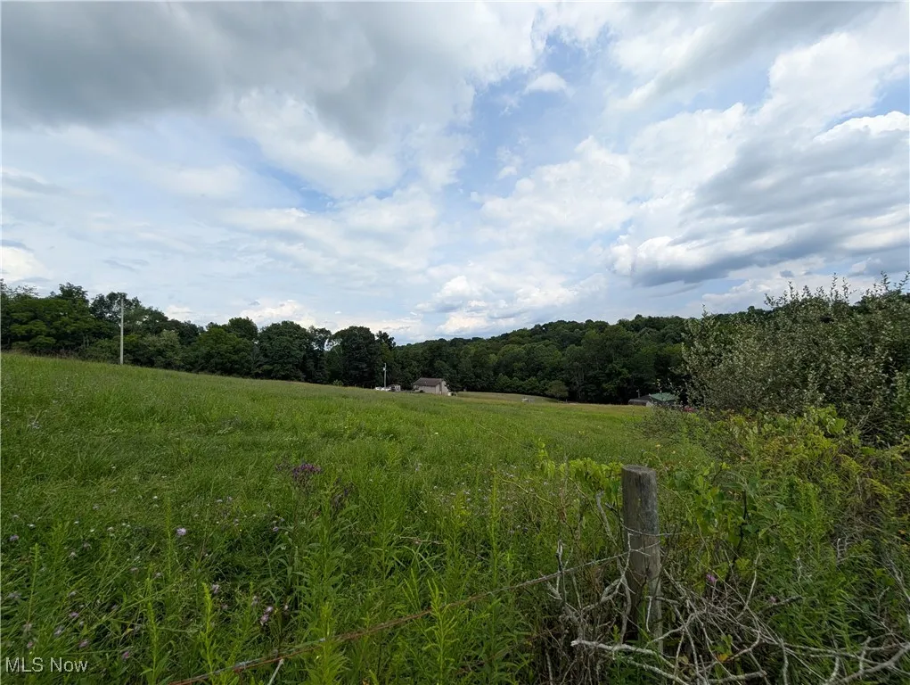 View of wooded area featuring a rural view