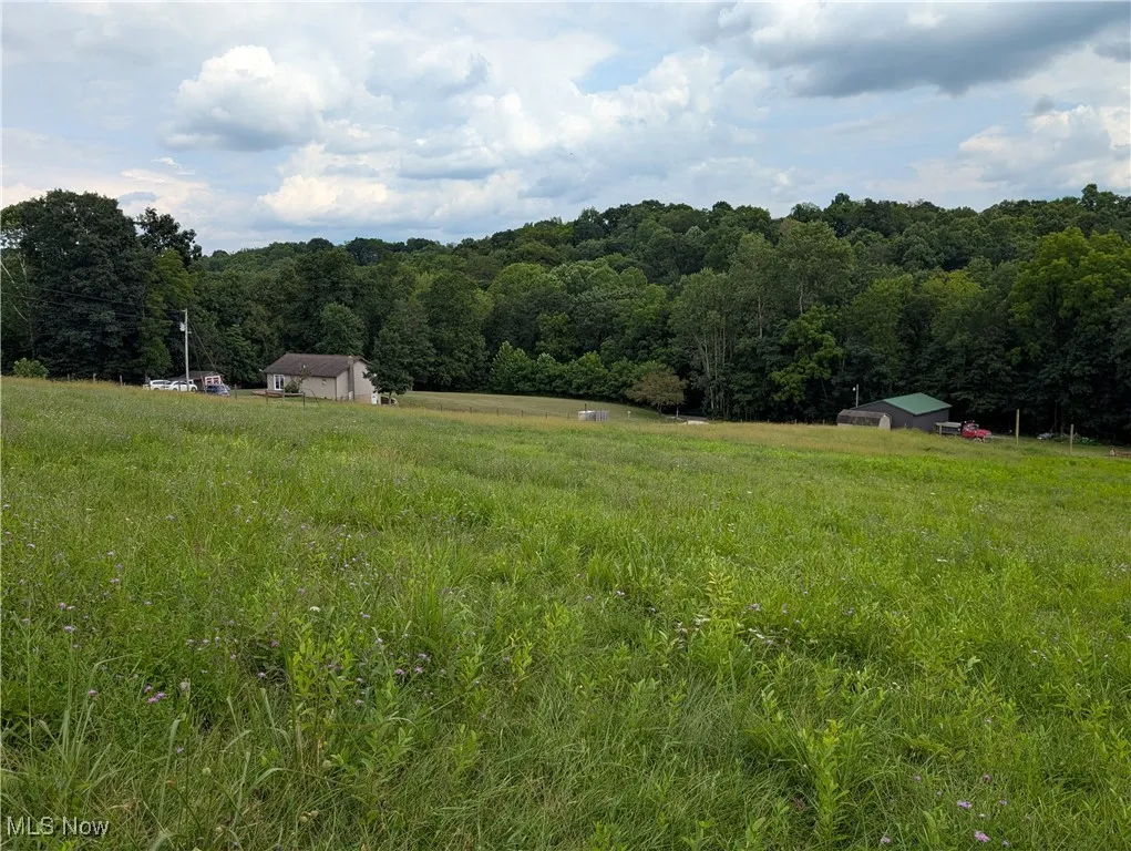 View of yard with a view of rural / pastoral area and a forest view