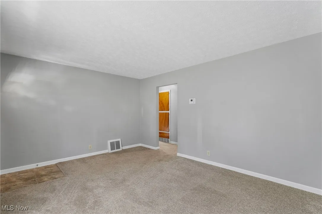 Living
 room featuring carpet and a textured ceiling