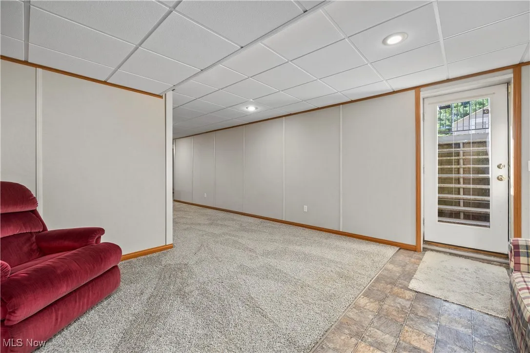 Basement walkout access door
