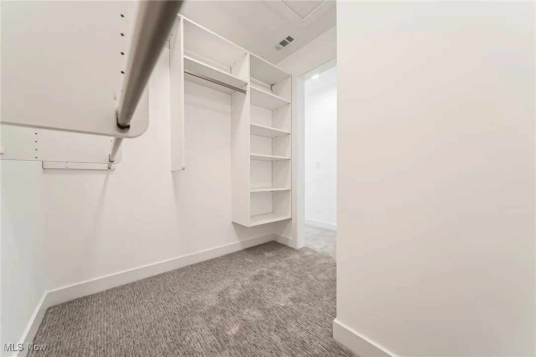 Spacious closet with light carpet