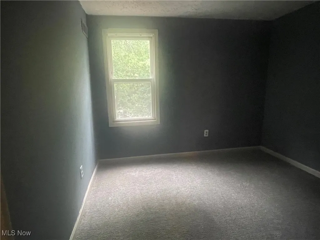158 Naples Street, Akron, Ohio 44310,MLS Now Listing ID