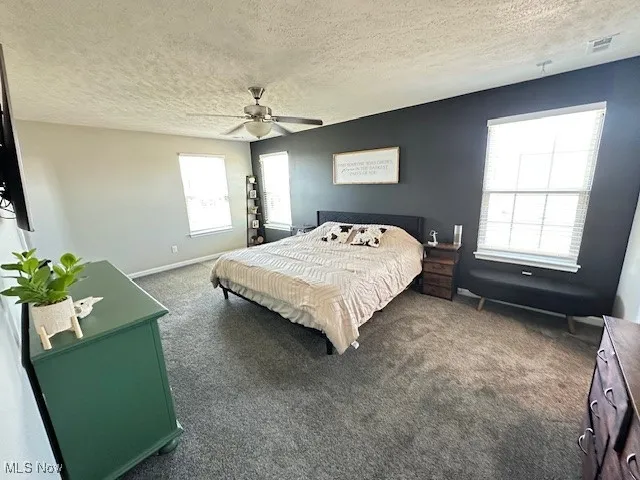 Very spacious owners suite with walk in closet