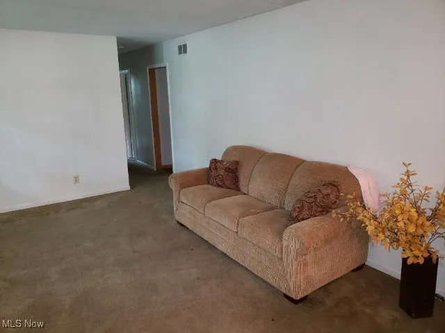 456 Laurel Street, Liberty, Ohio 44505,MLS Now Listing ID