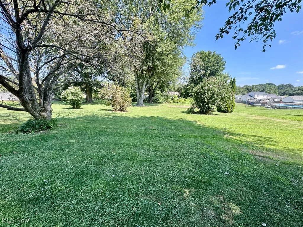 View of green lawn