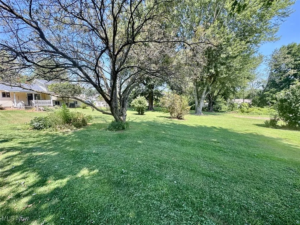 View of grassy yard