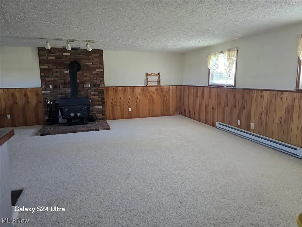 Downstairs Family room with a wood stove, wainscoting, wood walls, a textured ceiling, and carpet flooring