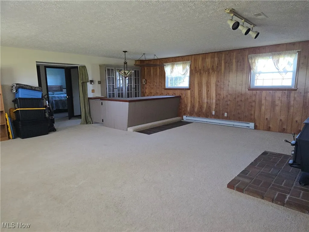 Downstairs  Family room featuring carpet floors, a wood stove, wood walls, a baseboard heating unit, and a textured ceiling
