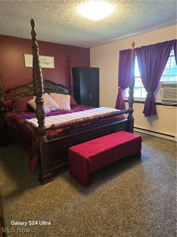 Master bedroom featuring a textured ceiling.