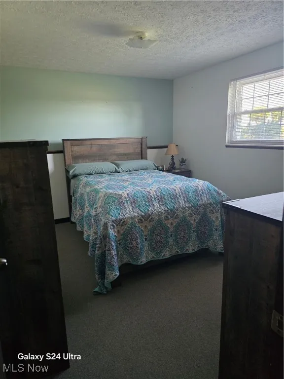 4th Bedroom downstairs featuring carpet flooring and a textured ceiling