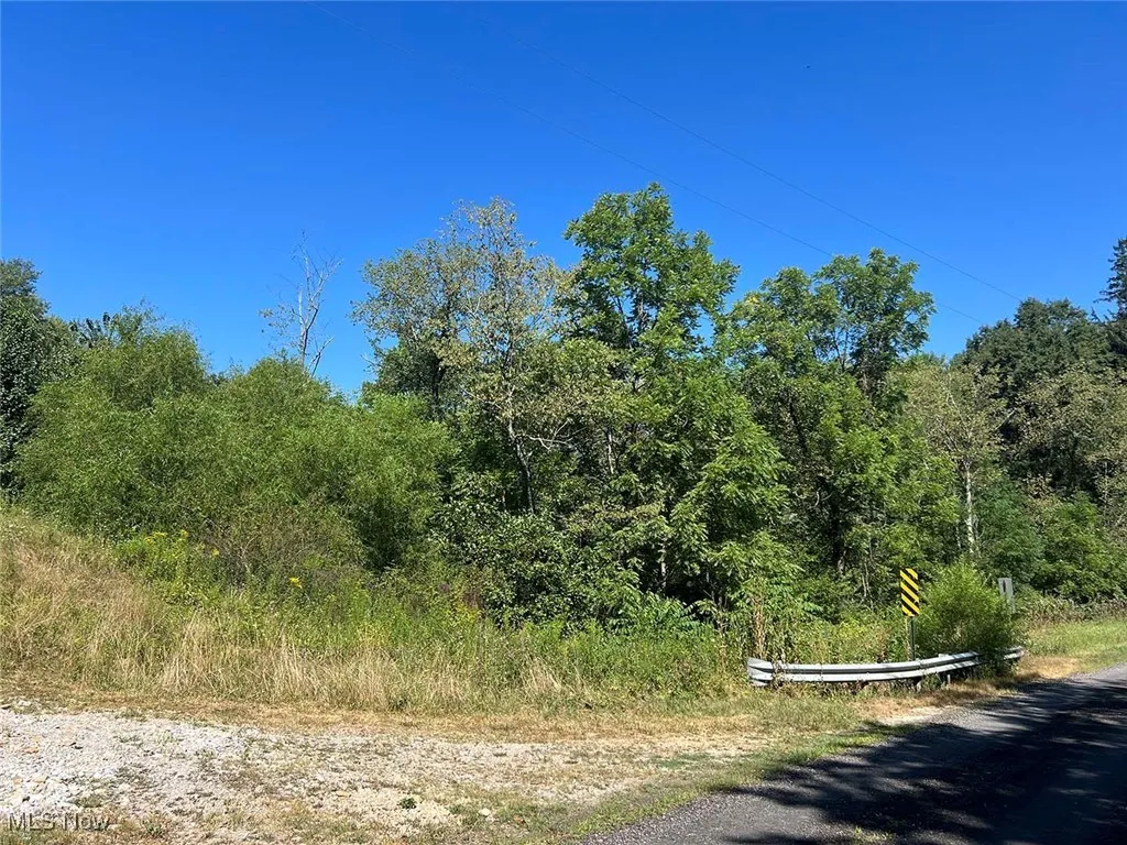 9100 Post Road, Jewett, Ohio 43986,MLS Now Listing ID