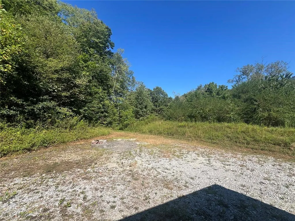View of local wilderness