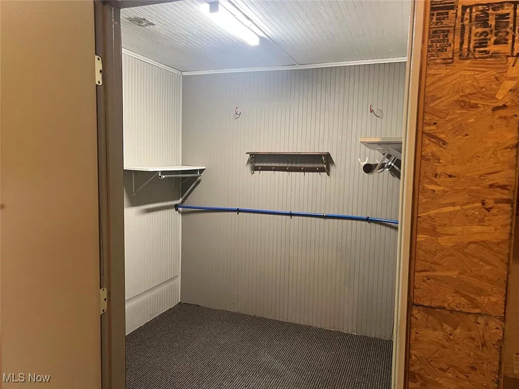 Spacious closet with carpet