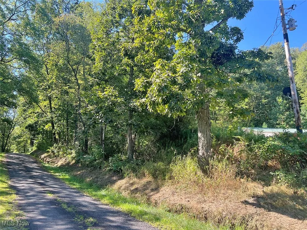 View of road featuring a forest view