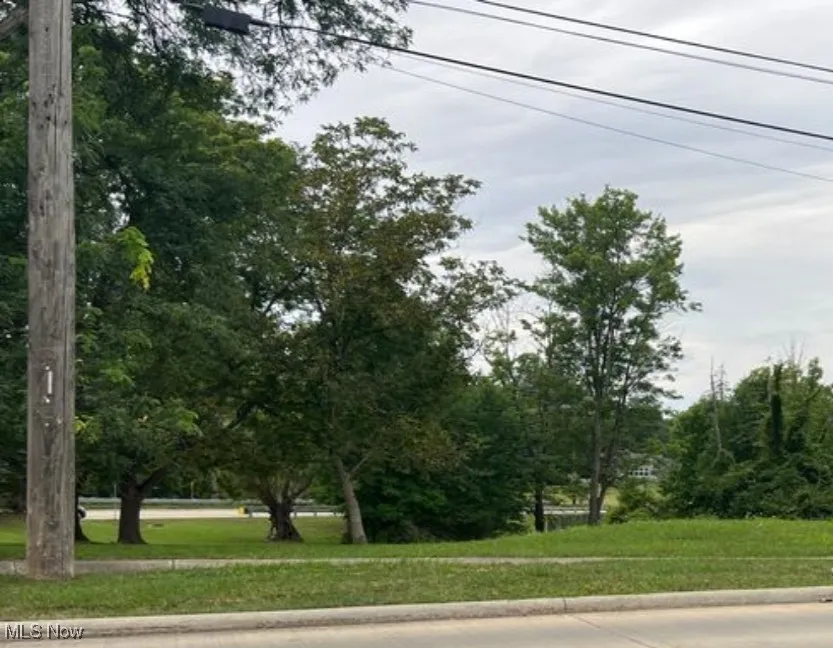 View of road featuring curbs and sidewalks