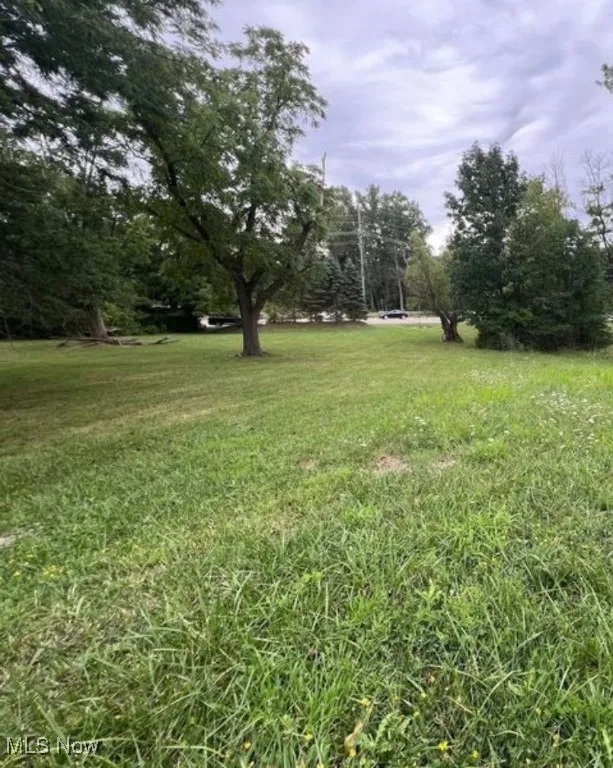 View of green lawn