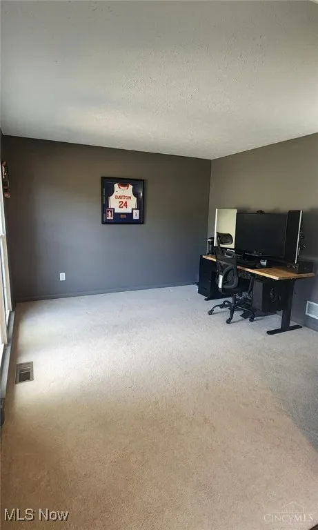 Home office with light colored carpet and a textured ceiling