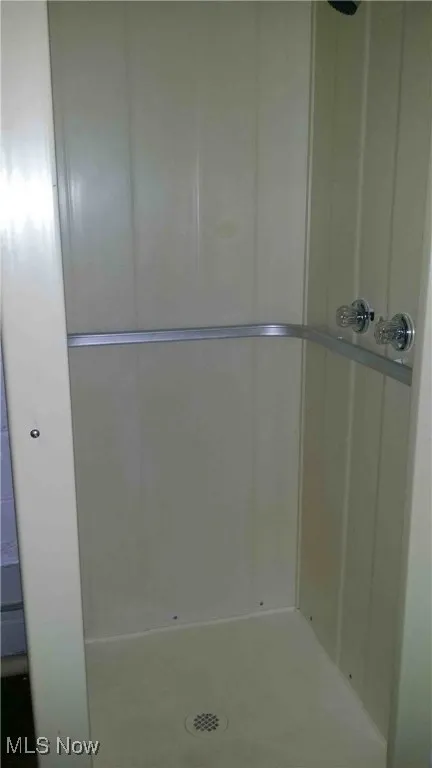 Basement bathroom shower