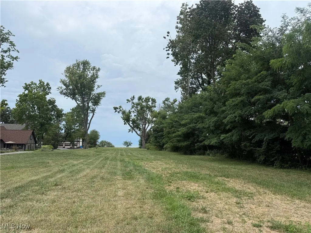 View of green lawn
