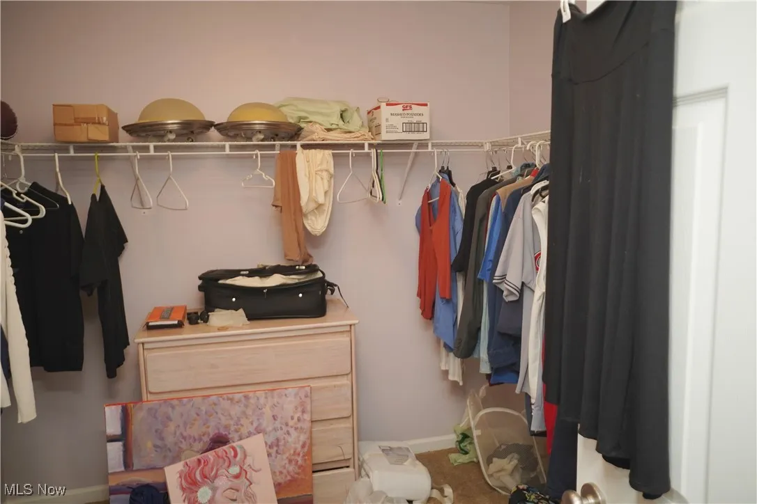 View of walk in closet