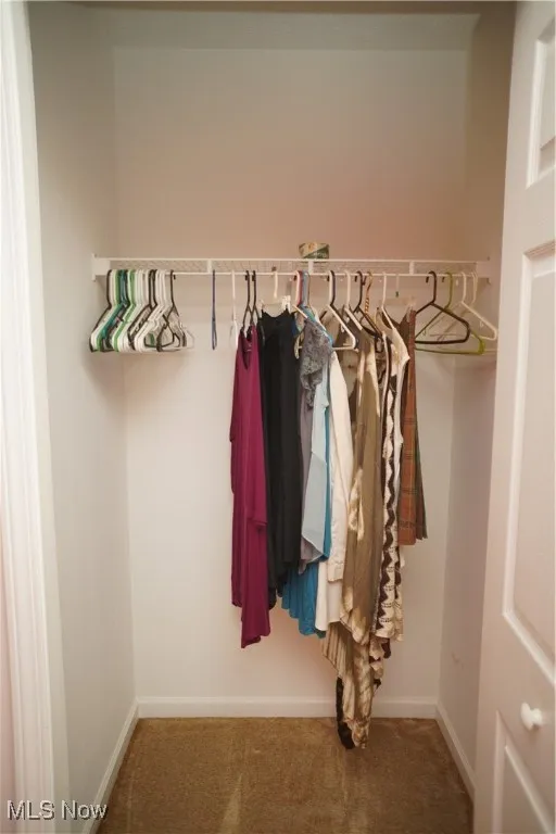 Walk in closet featuring carpet