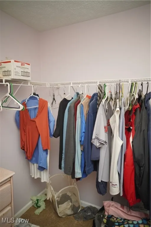 Spacious closet with carpet floors