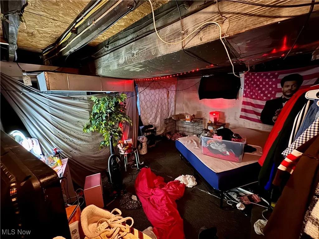 View of unfinished basement