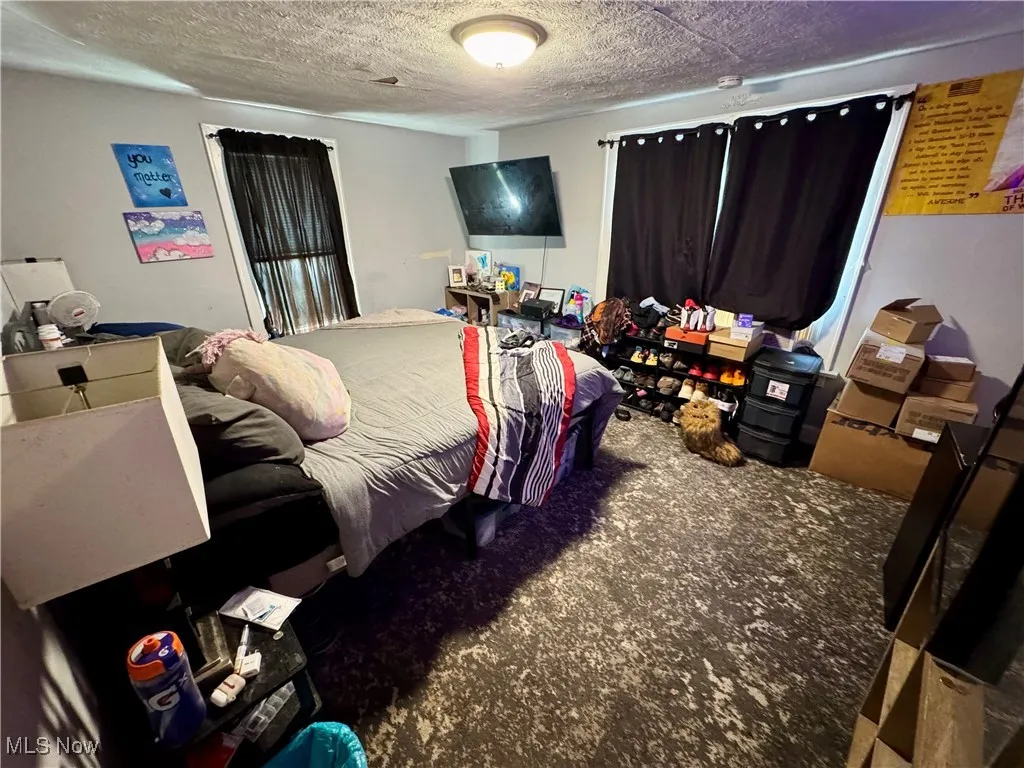 Bedroom with a textured ceiling