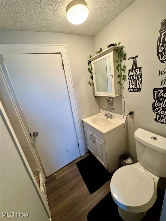Bathroom with wood finished floors, a textured ceiling, and vanity