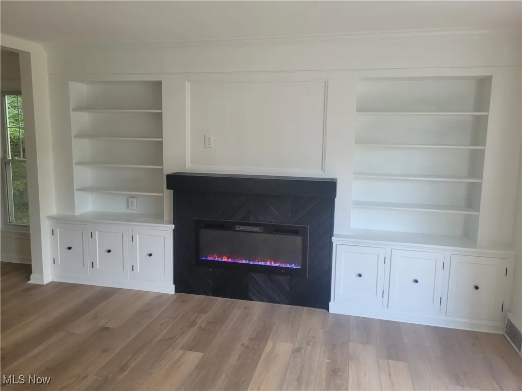 Built Ins w/ Fireplace