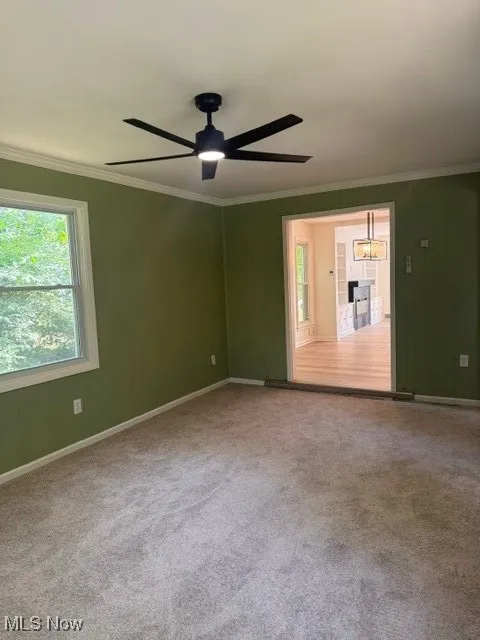1231 Hereford Road, Cleveland Heights, Ohio 44118,MLS Now Listing ID