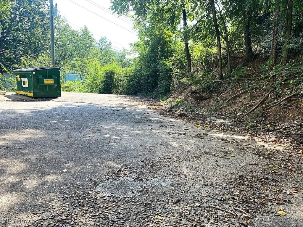 477 Arnoldsburg Road, Spencer, West Virginia 25276,MLS Now Listing ID