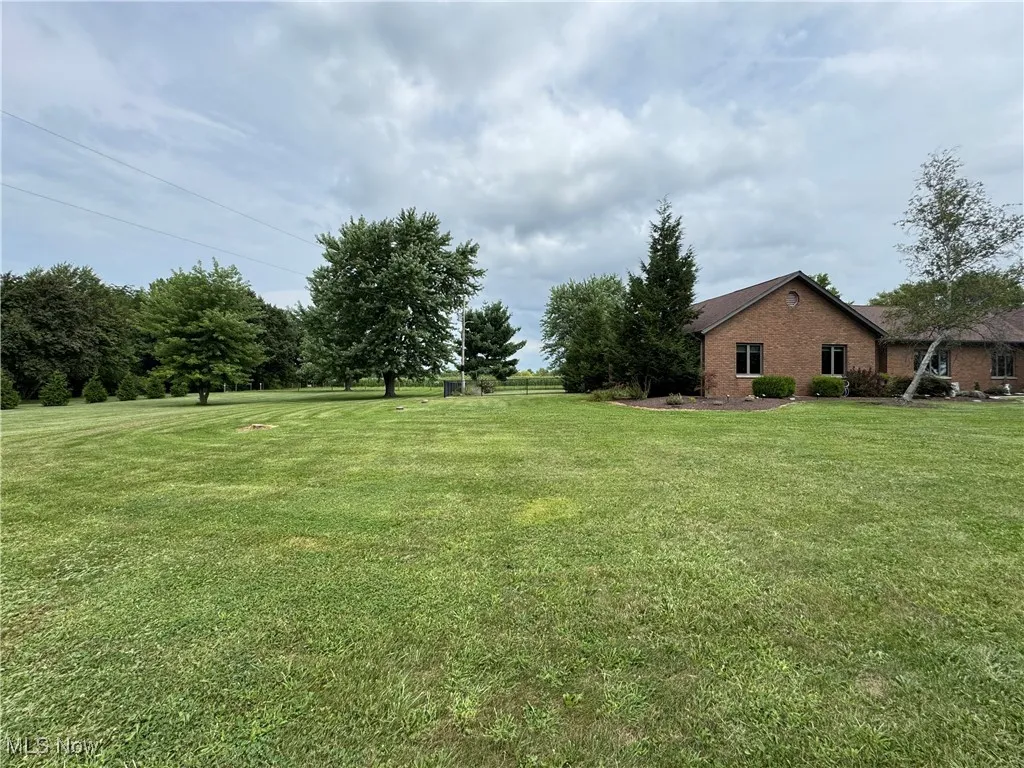 View of grassy yard