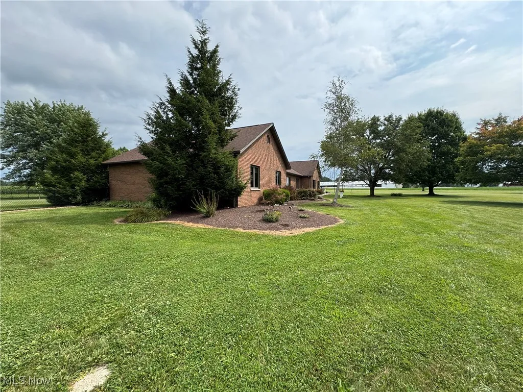 View of grassy yard