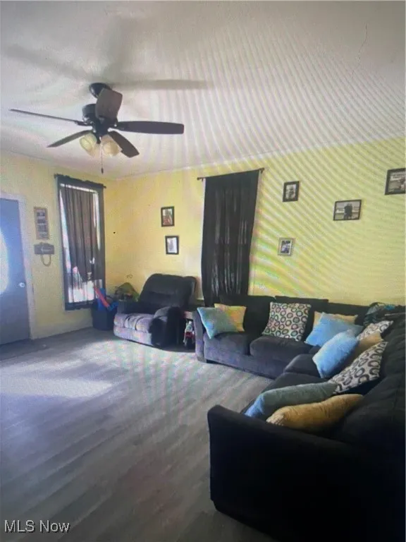 Living room featuring ceiling fan