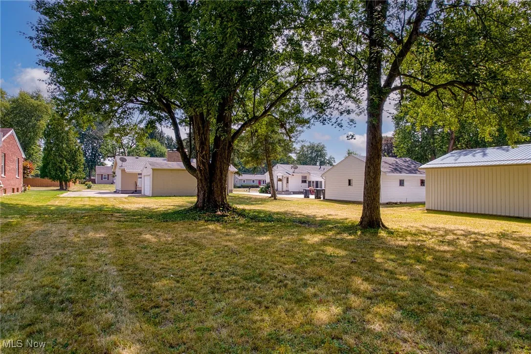 View of grassy yard