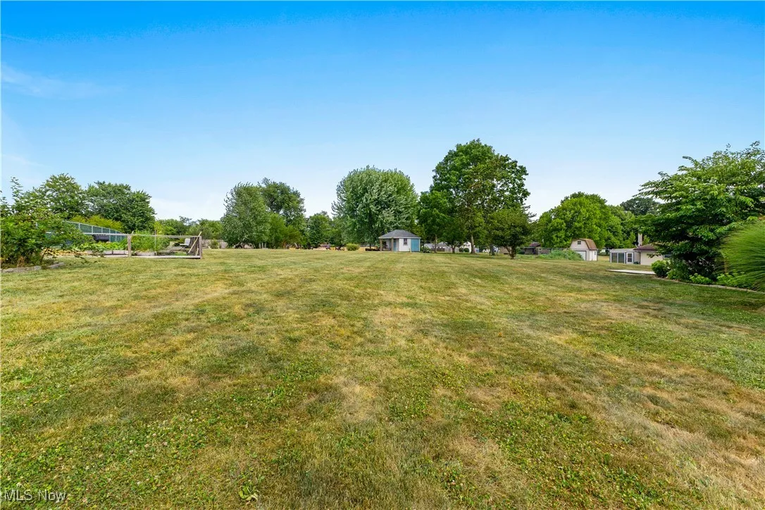 View of green lawn