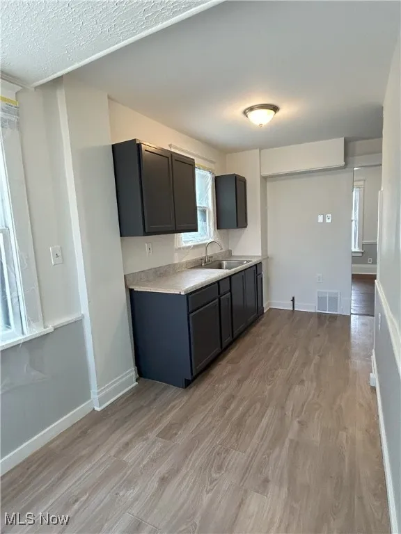 Kitchen with light countertops, light wood-style floors, and dark cabinets