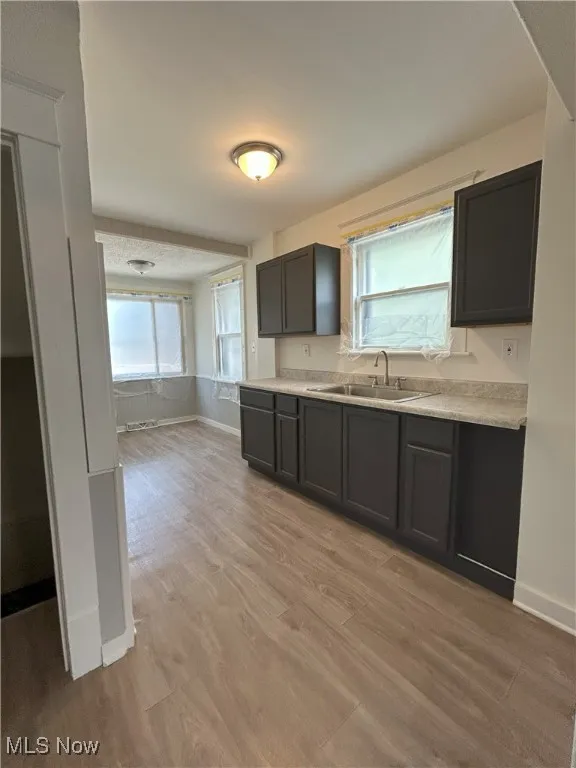 Kitchen featuring light countertops and light wood-type flooring