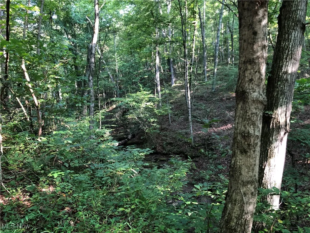 1455 St Rte 124, Coolville, Ohio 45723,MLS Now Listing ID