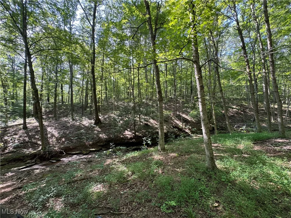 1455 St Rte 124, Coolville, Ohio 45723,MLS Now Listing ID