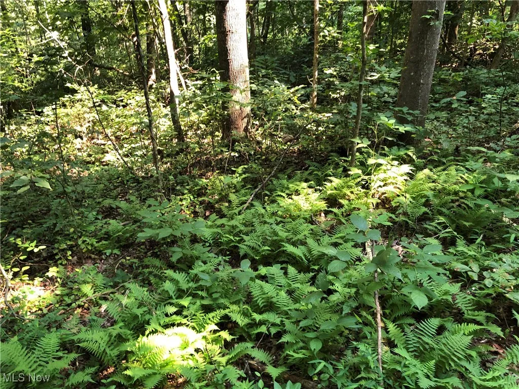 1455 St Rte 124, Coolville, Ohio 45723,MLS Now Listing ID
