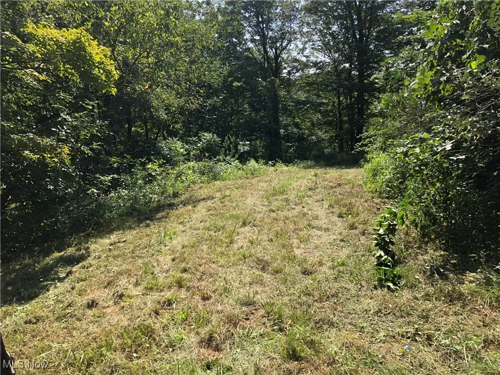 1455 St Rte 124, Coolville, Ohio 45723,MLS Now Listing ID