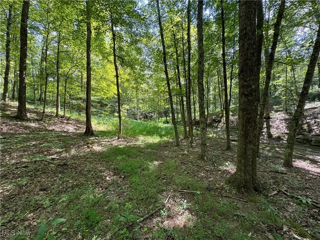 1455 St Rte 124, Coolville, Ohio 45723,MLS Now Listing ID