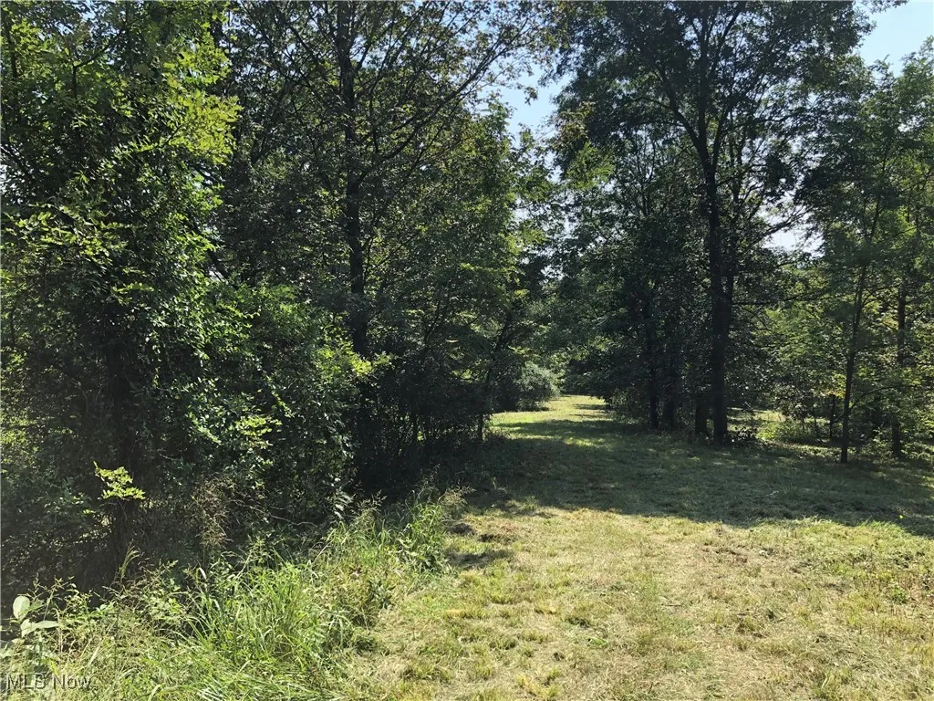 1455 St Rte 124, Coolville, Ohio 45723,MLS Now Listing ID