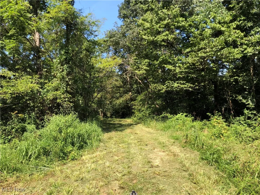 1455 St Rte 124, Coolville, Ohio 45723,MLS Now Listing ID