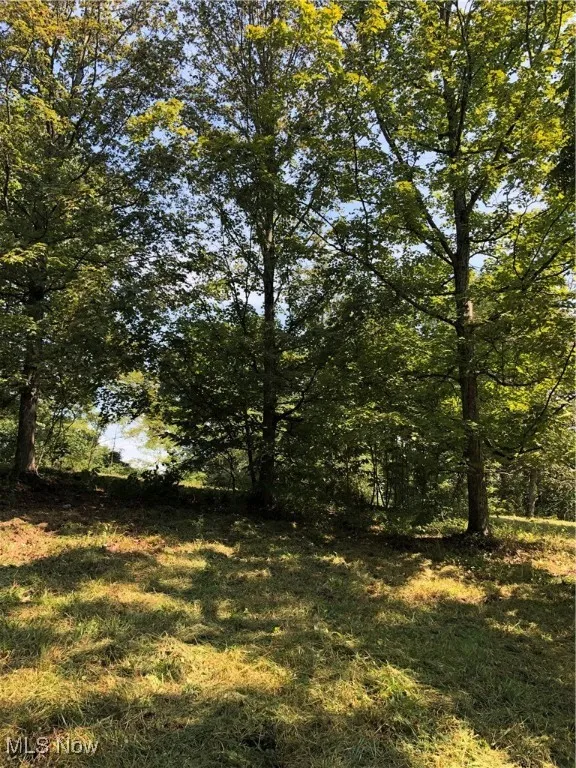 1455 St Rte 124, Coolville, Ohio 45723,MLS Now Listing ID